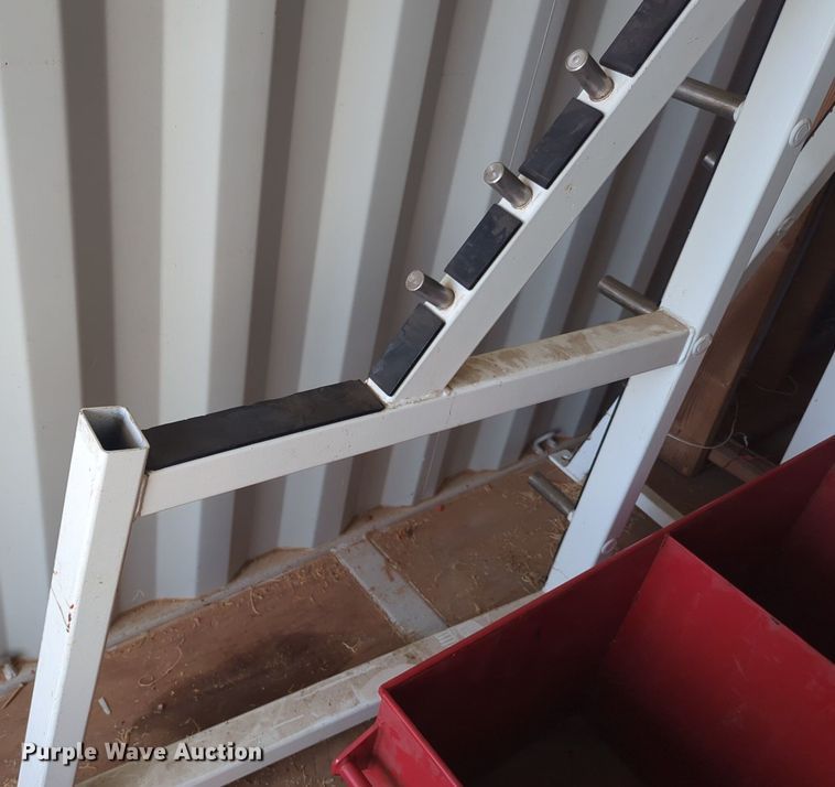 image for item DL1058 Body Masters workout equipment