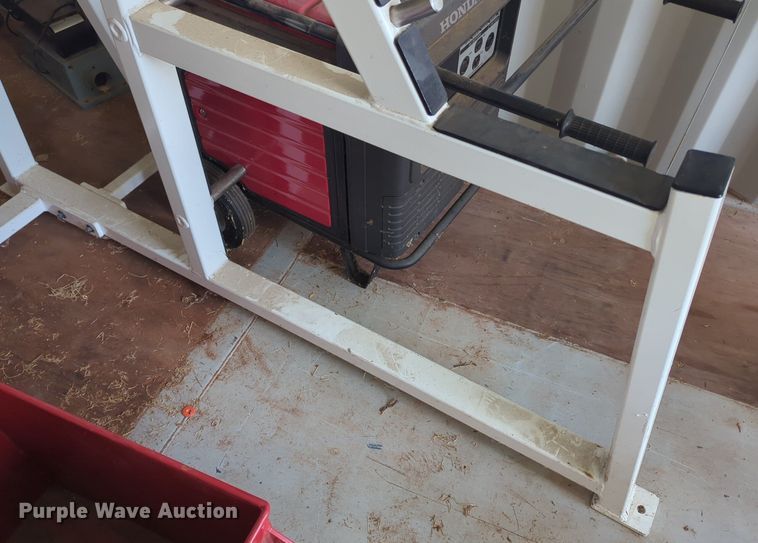 image for item DL1058 Body Masters workout equipment