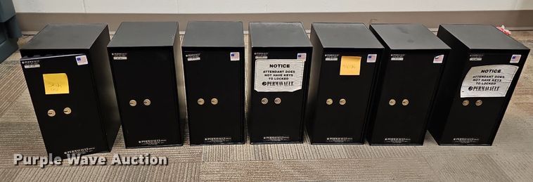 image for item DS4719 (8) safes