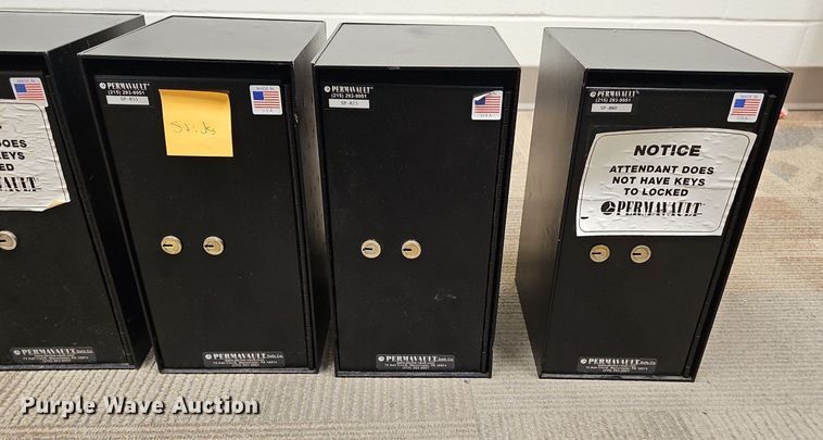 image for item DS4719 (8) safes