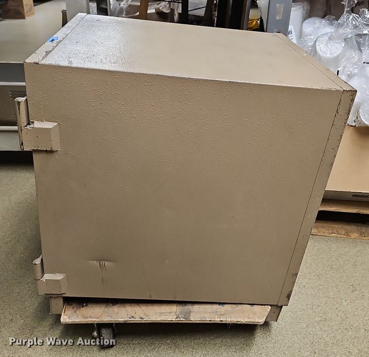 image for item DS4719 (8) safes