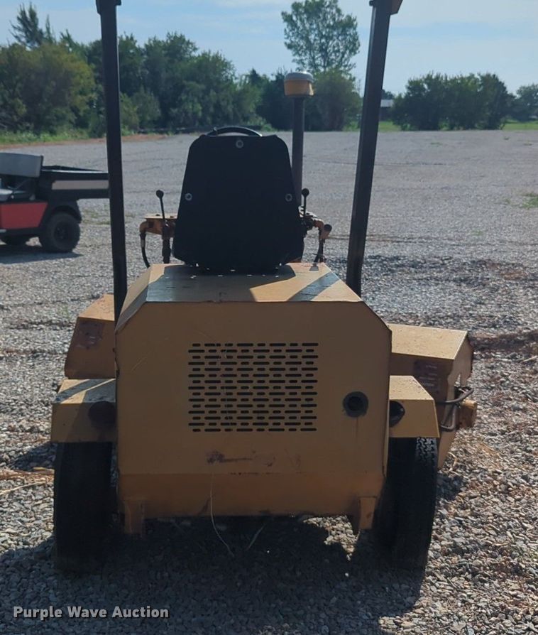 image for item DL1047 Lay Mor broom