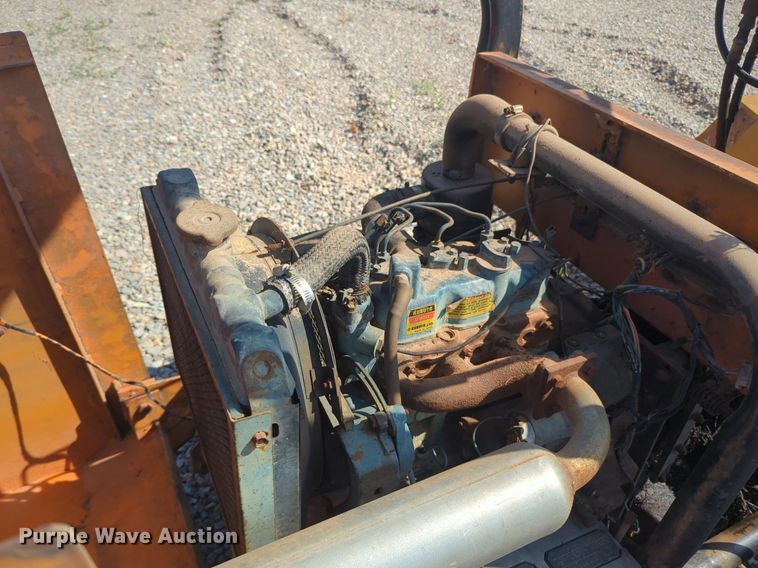 image for item DL1047 Lay Mor broom