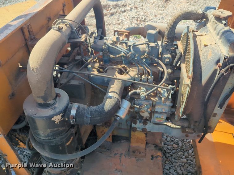 image for item DL1047 Lay Mor broom