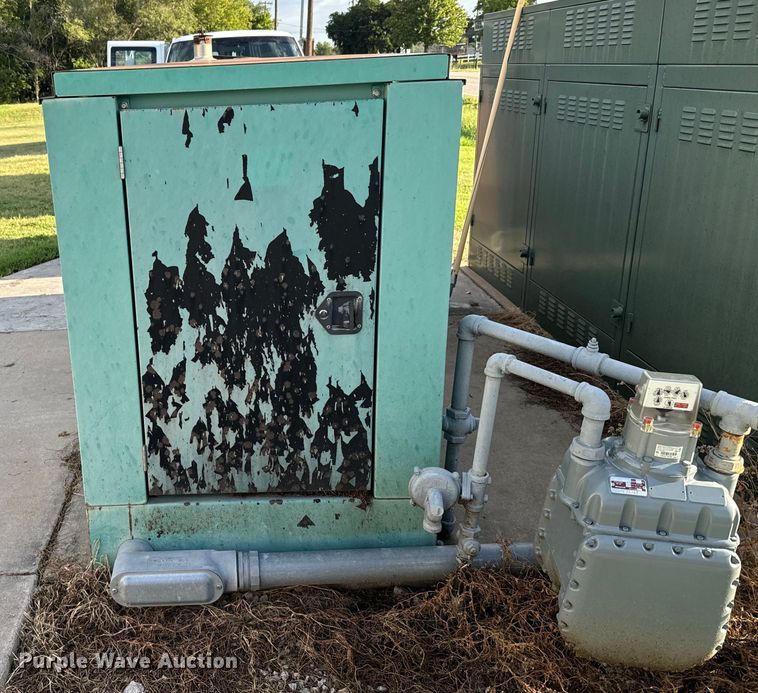 image for item DX3564 Onan 80GGHC  generator