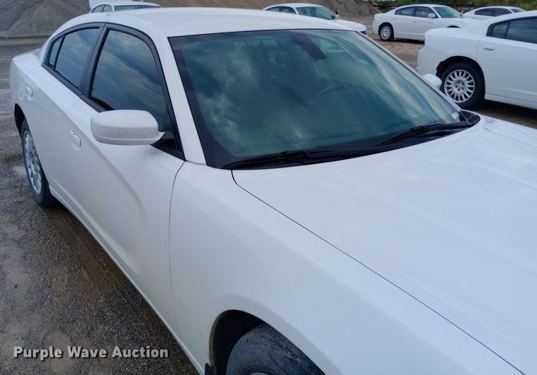 image for item NY9446 2019 Dodge Charger Police 