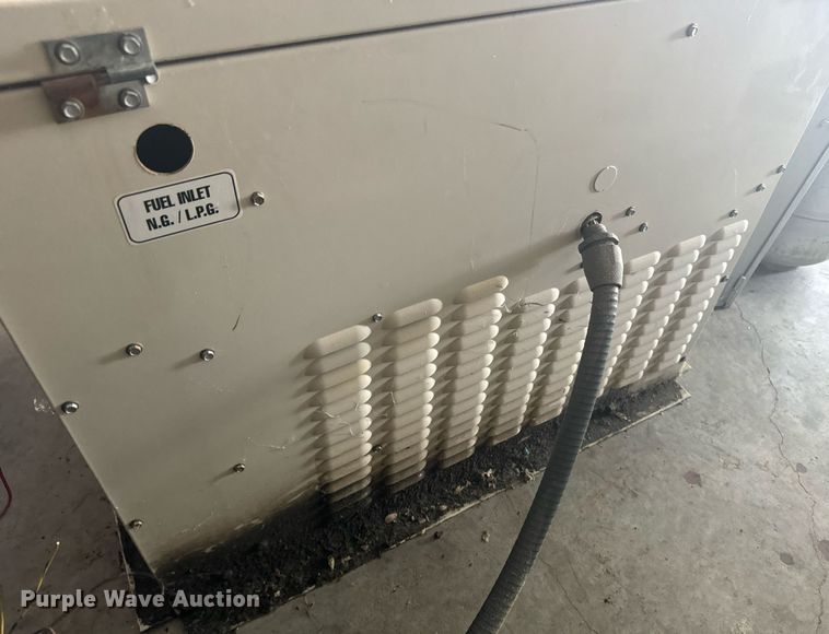 image for item EE7582 Coleman Power Station 10000 generator