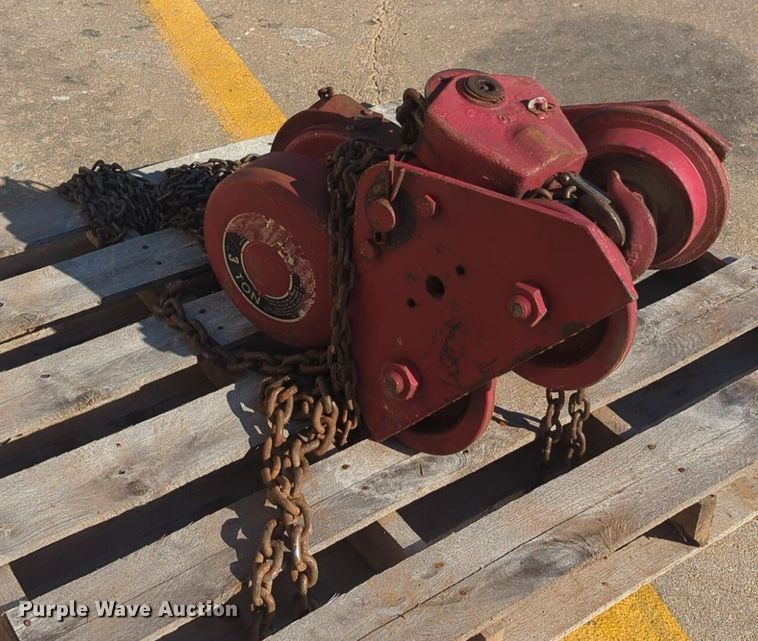 image for item EQ2091 (2) chain hoists