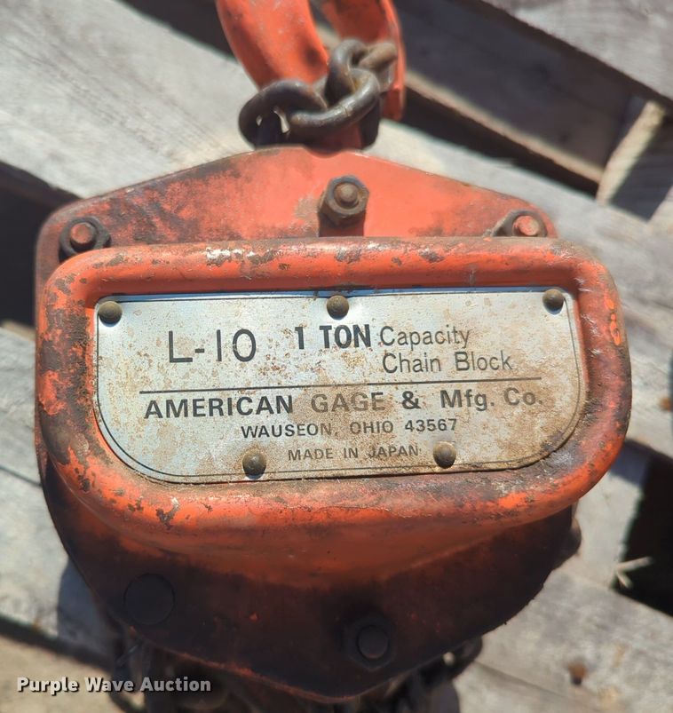 image for item EQ2091 (2) chain hoists