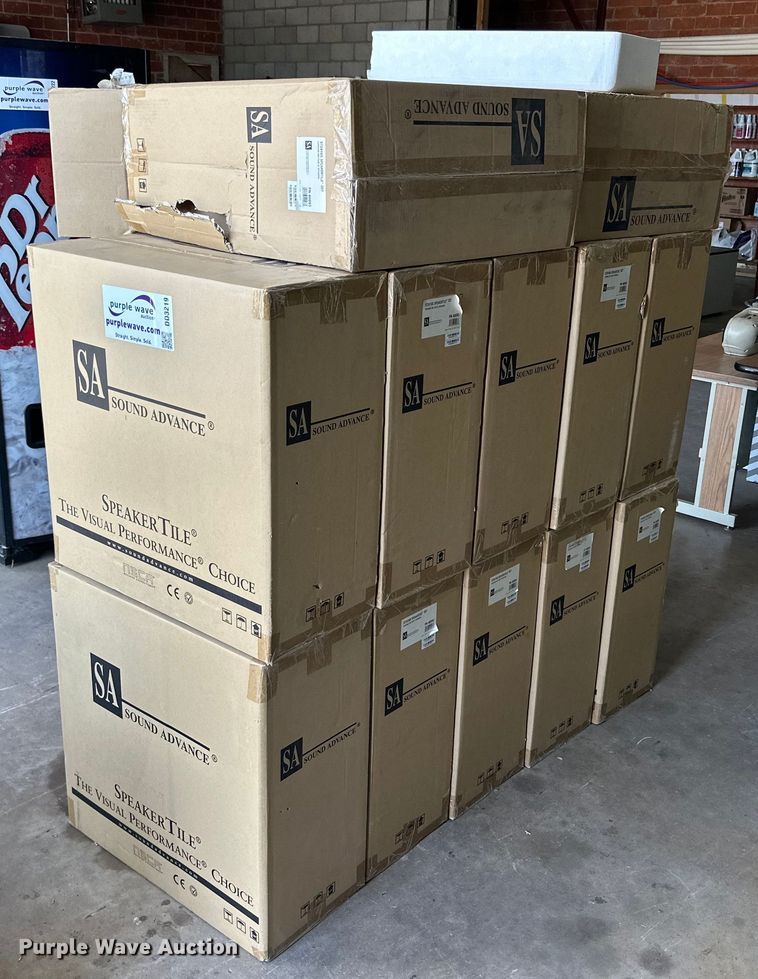 image for item DD3219 Approximately 24 Sound Advance intercom speakers