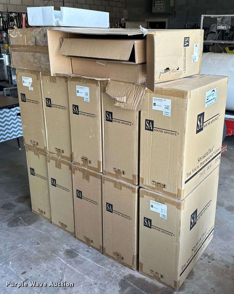 image for item DD3219 Approximately 24 Sound Advance intercom speakers