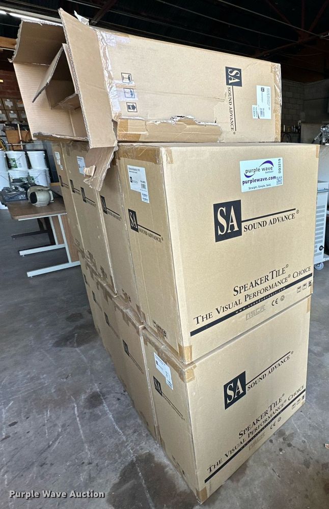 image for item DD3219 Approximately 24 Sound Advance intercom speakers