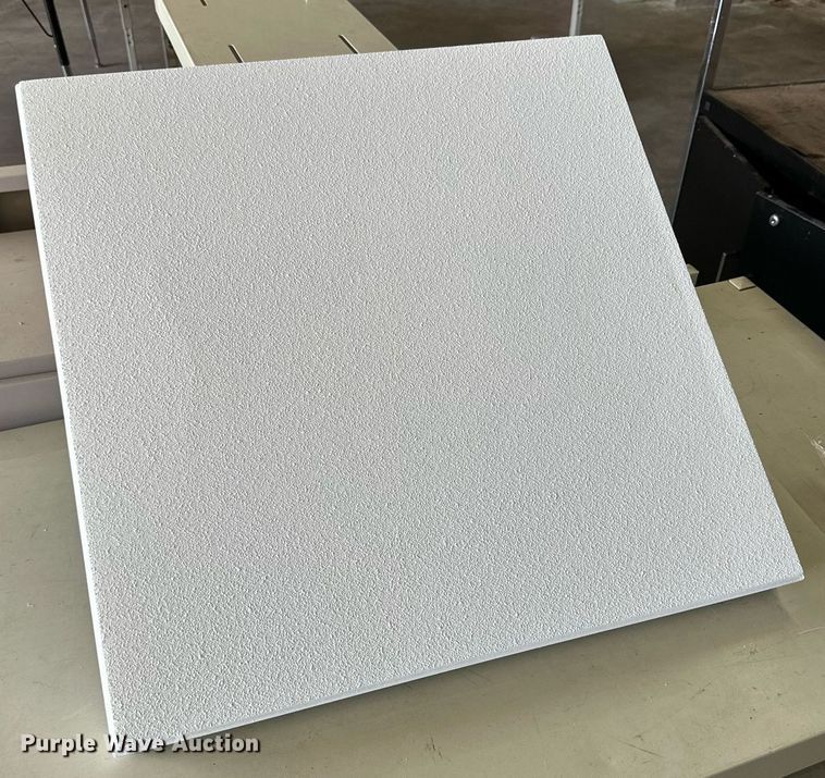 image for item DD3219 Approximately 24 Sound Advance intercom speakers