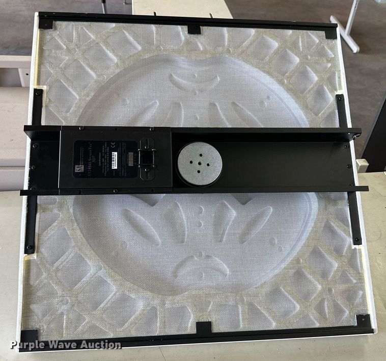 image for item DD3219 Approximately 24 Sound Advance intercom speakers
