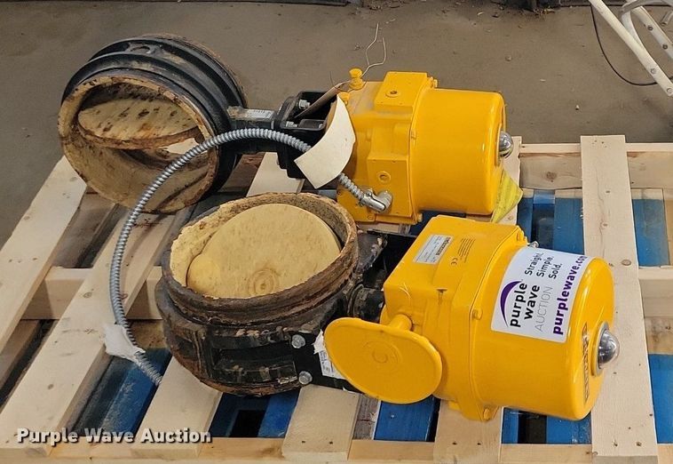 image for item DN3492 (2) EL-O-MATIC EL 350 valves