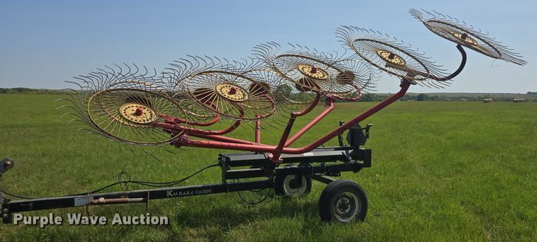 image for item EK2130 KM hay rake