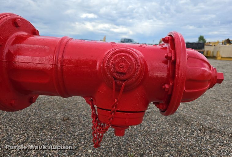 image for item LW9878 2006 Mueller fire hydrant