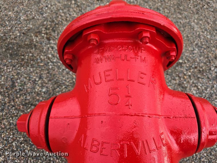 image for item LW9878 2006 Mueller fire hydrant