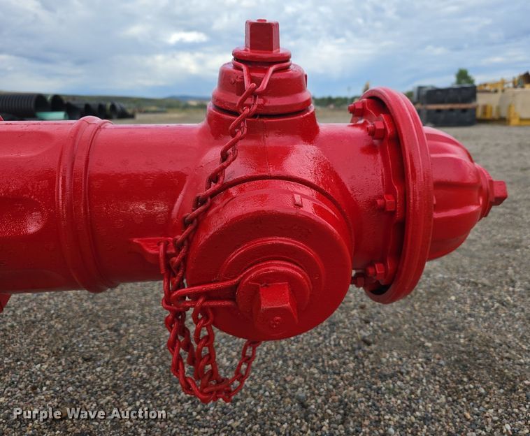 image for item LW9878 2006 Mueller fire hydrant