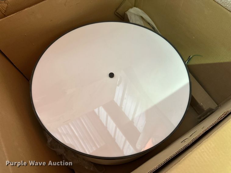 image for item DD3262 (4) boxes of lights