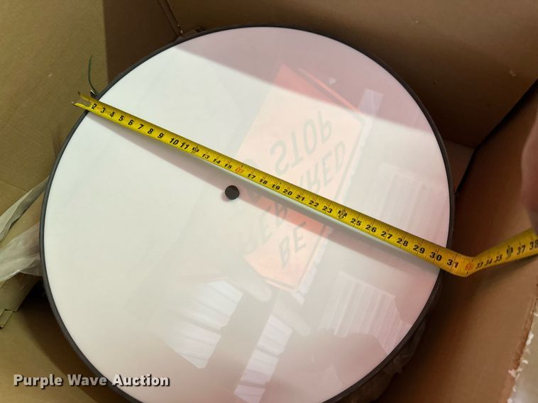 image for item DD3262 (4) boxes of lights