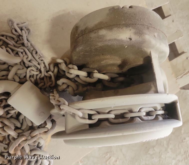 image for item DN3549 (2) Cyclone chain hoists