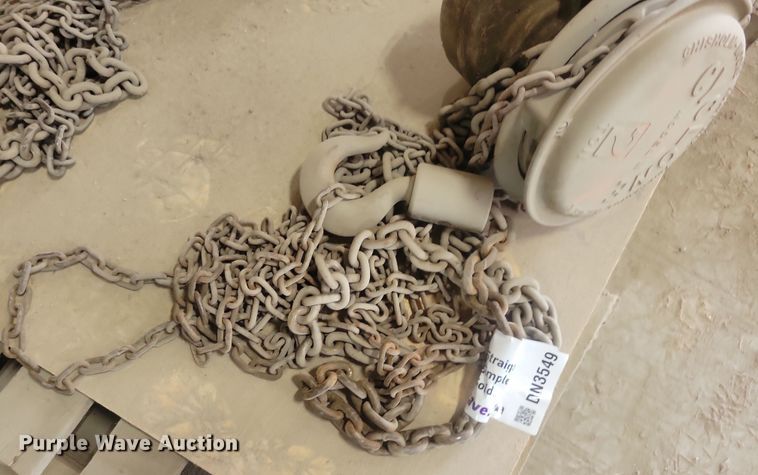 image for item DN3549 (2) Cyclone chain hoists