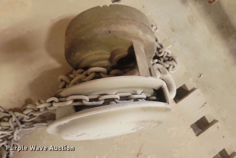 image for item DN3549 (2) Cyclone chain hoists