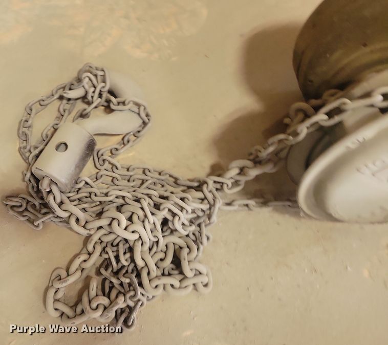 image for item DN3549 (2) Cyclone chain hoists