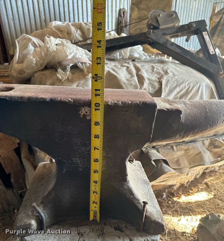 image for item EG6707 Anvil