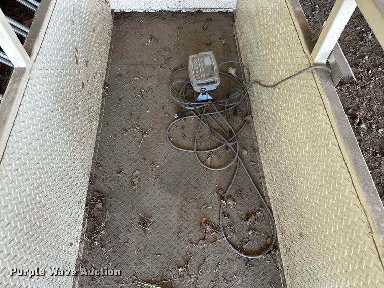 image for item EK0011 Cardinal  190  livestock scale