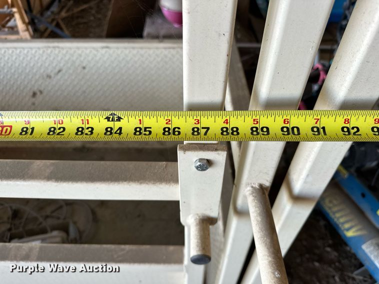 image for item EK0011 Cardinal  190  livestock scale