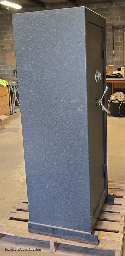 image for item DO5527 Scheels Outfitters safe