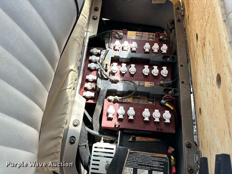 image for item EJ4870 2009 EZ-GO RXV golf cart