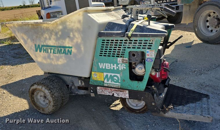 image for item DO5528 (2) concrete buggies