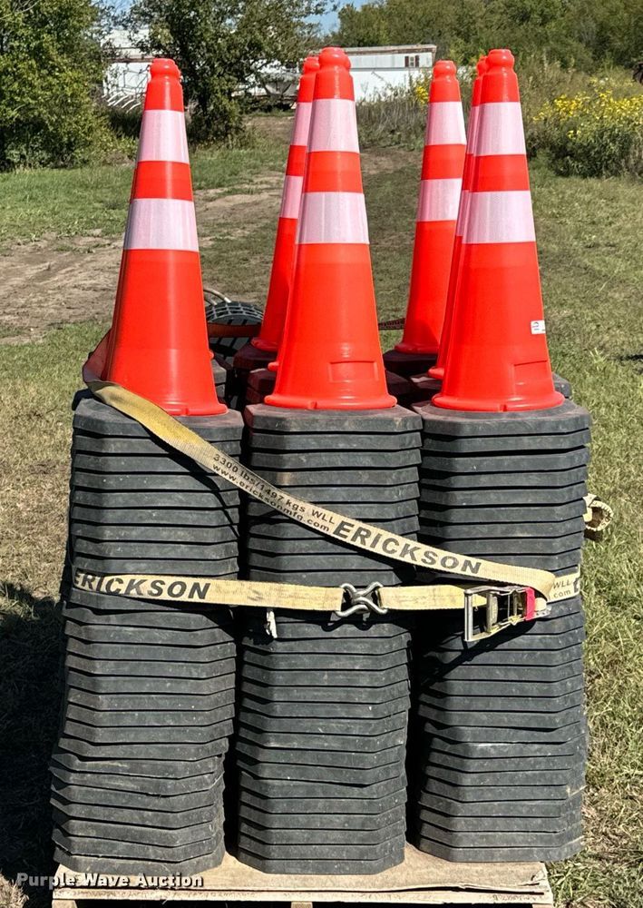 image for item DX1401 (250) traffic cones