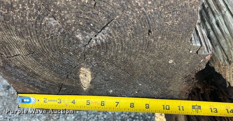 image for item LC9263 Approximately 16 wood beams