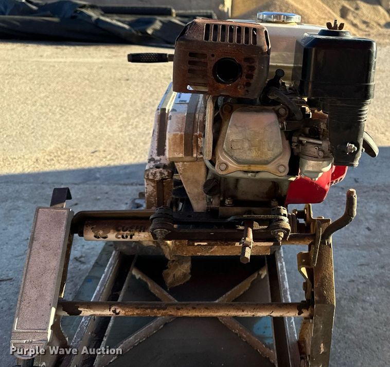 image for item EG6796 Cushion Cut 155961-LYR concrete saw