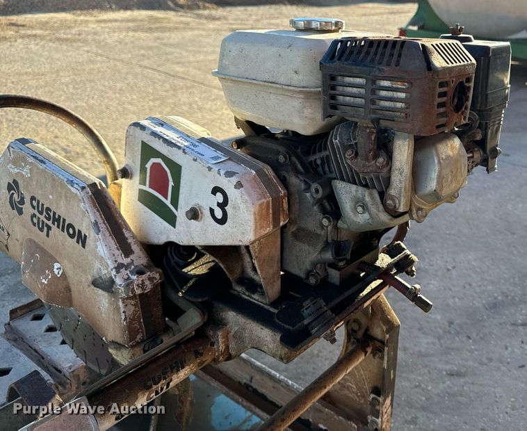 image for item EG6796 Cushion Cut 155961-LYR concrete saw