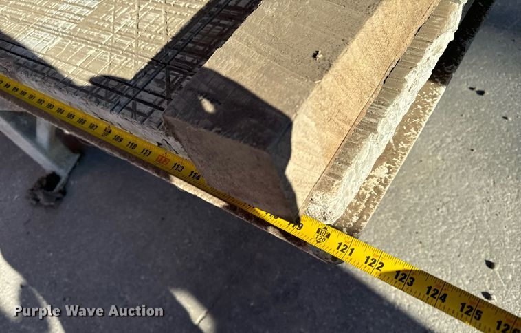 image for item EG6803 0 Park industries Cougar granite bridge saw