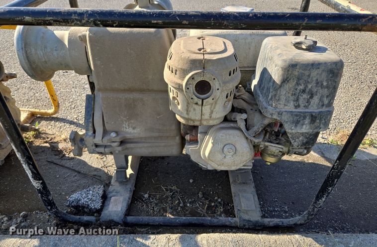 image for item DW2514 (2) pumps 