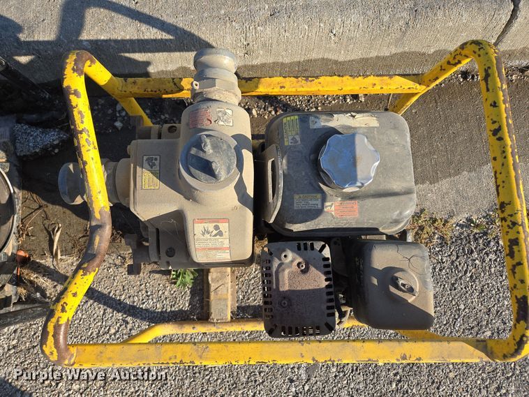 image for item DW2514 (2) pumps 