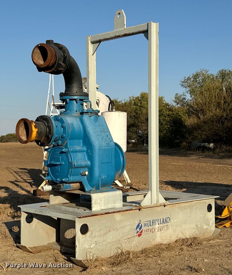 image for item MS9840 Cornell 6STX-EM55K-4 pump