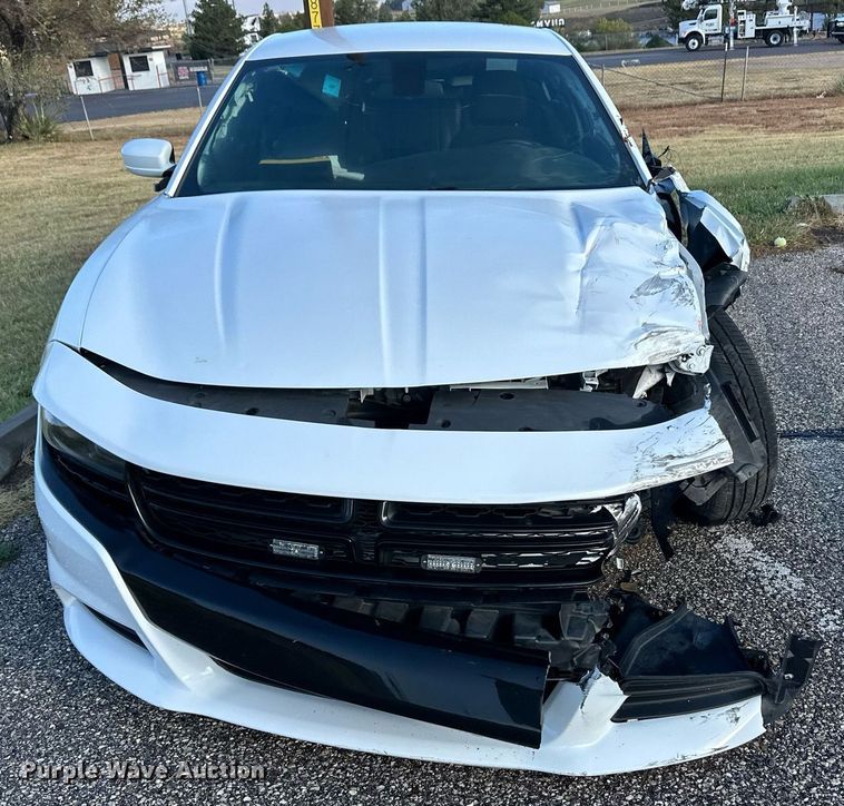 image for item ER8088 2019 Dodge Charger Police 