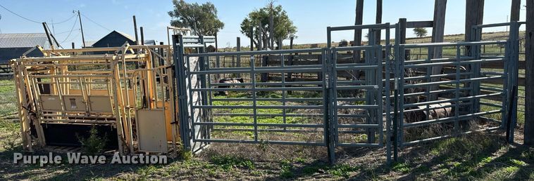 image for item DX3708 Foremost Cattle squeeze chute