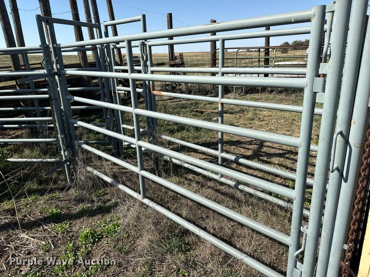 image for item DX3708 Foremost Cattle squeeze chute