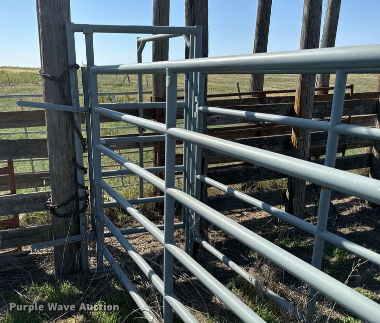 image for item DX3708 Foremost Cattle squeeze chute