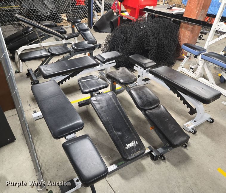 image for item EQ3719 (10) weight lifting benches 