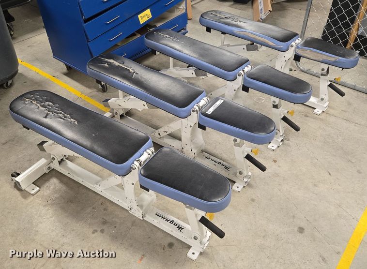 image for item EQ3720 (4) Magnum Fitness System benches