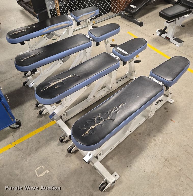 image for item EQ3720 (4) Magnum Fitness System benches